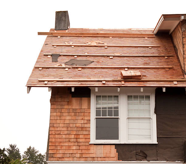 Affordable Siding Repair and Maintenance Services in St Louis, MO